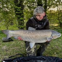harry_angling
