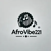original sound - snlvibe