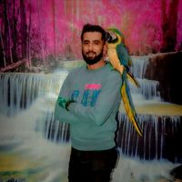 stylishstarchulbul83