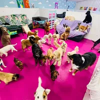 original sound - cloudk9daycare
