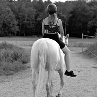 laura.lsr5