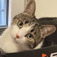 whiskerfun83