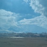 paradoxalandu_