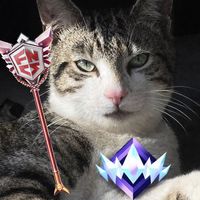 sxnsive