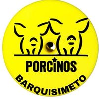 porcinos.barquisimeto