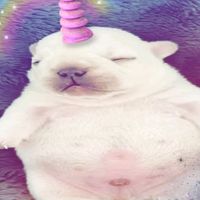 camxzi_16