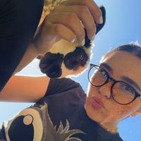 _sara_8_ot_