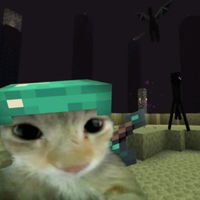dani_qw8