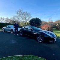 carmoose_
