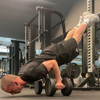 alexbodyhack