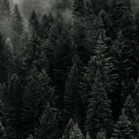 оригинальный звук - SAVE