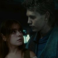 _shannara_muffin