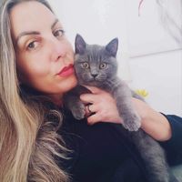tobby_the_cute_cat