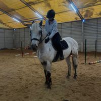 0only.equestrian