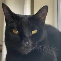 original sound - mypeaches726