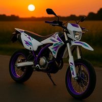shadow_enduro