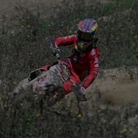 donato24924