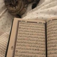 islamique599
