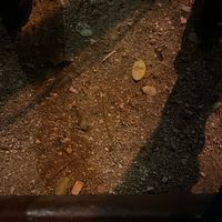 usuarionoencontrado.0618