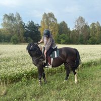 olesiak