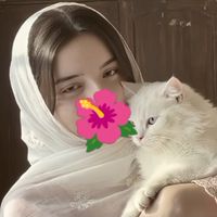 Rehan bhai