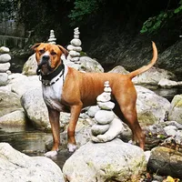 original sound - flopy.et.urion