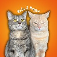 nalaandnugget