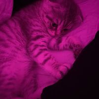 el_la951