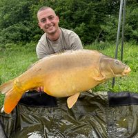 miskovicofficial
