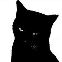 blacat444