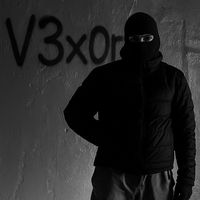 v3x0r__