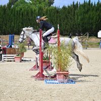amandine_pnc1