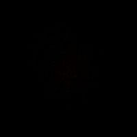 sunet original
