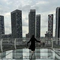 ibtooll
