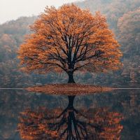positivment_votre