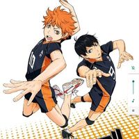 haikyumikk