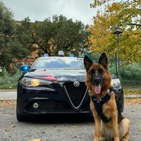 luigibracciante