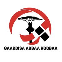 gaaddisa_abbaa_roobaa