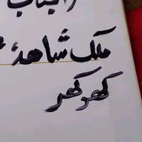 shahaidhussain3