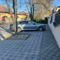 lela15576