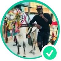 tapha sarr