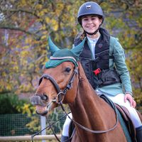 suz_et_les_poneys
