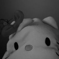 _spammeli
