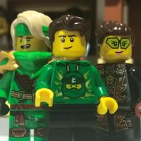 vvn_bricks