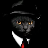 _mr.p_1