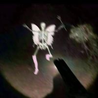 vamp_anthemm_