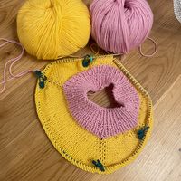 asselknitter