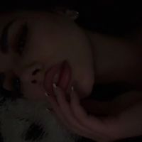stefanifiliz