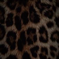 liepytt04