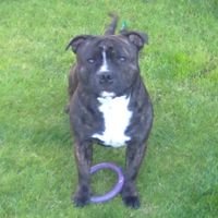 brooke.xx624